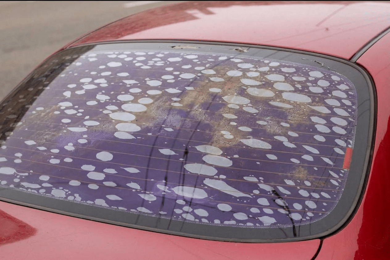 Car rear window showing both purple discoloration and severe bubbling from cheap dyed window tint film failure